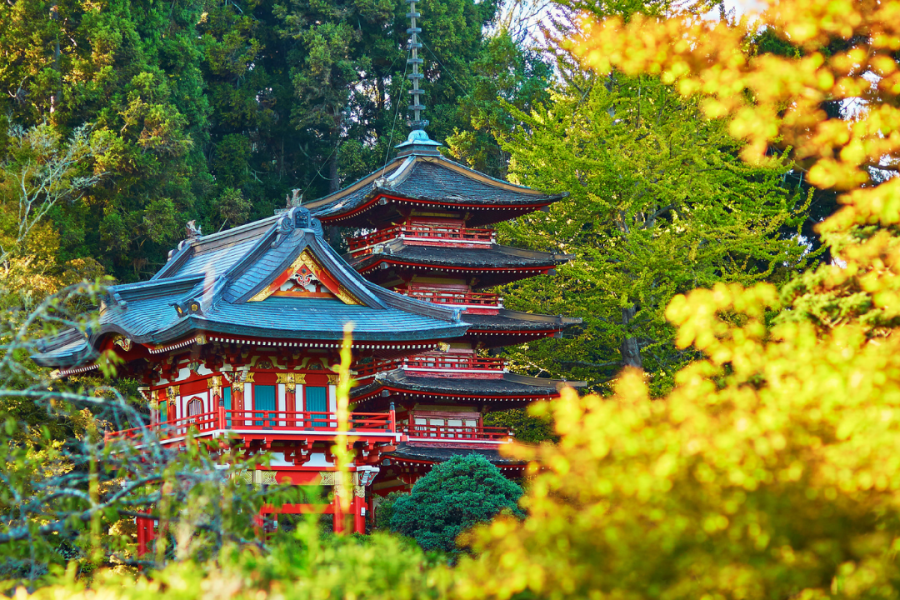 Beautiful garden