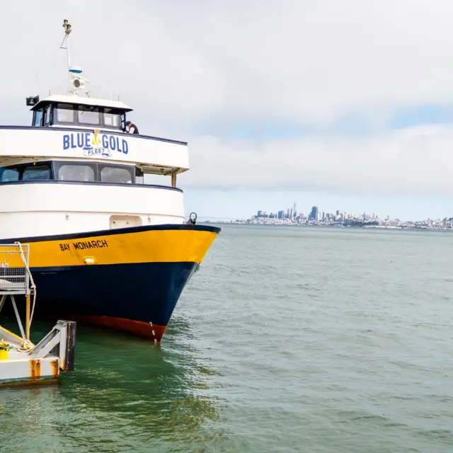 front of a boat on a rver
